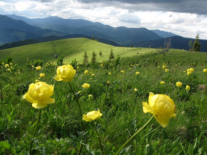 63.jpg - Szaleństwo pełników.