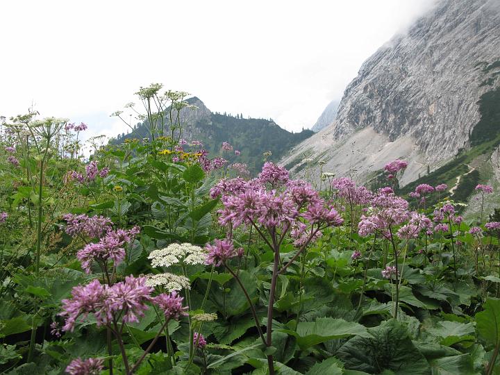 06.jpg - Miłosna górska.