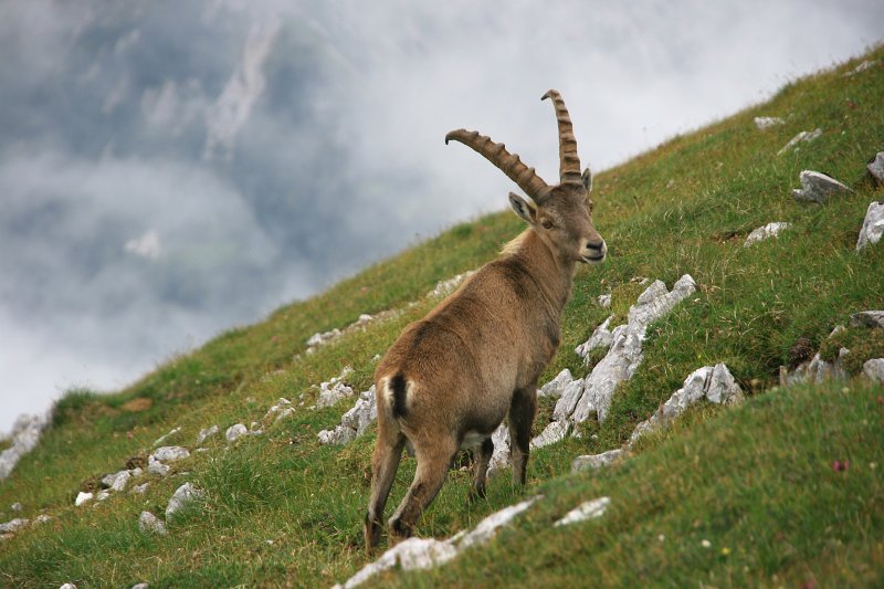 23.jpg - Na szlaku spotkała nas niespodzianka...