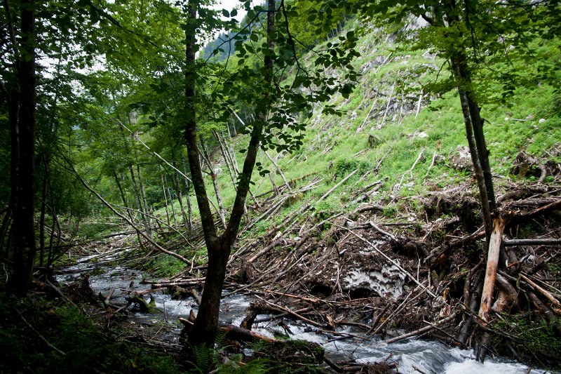 46.jpg - Skutki lawiny.