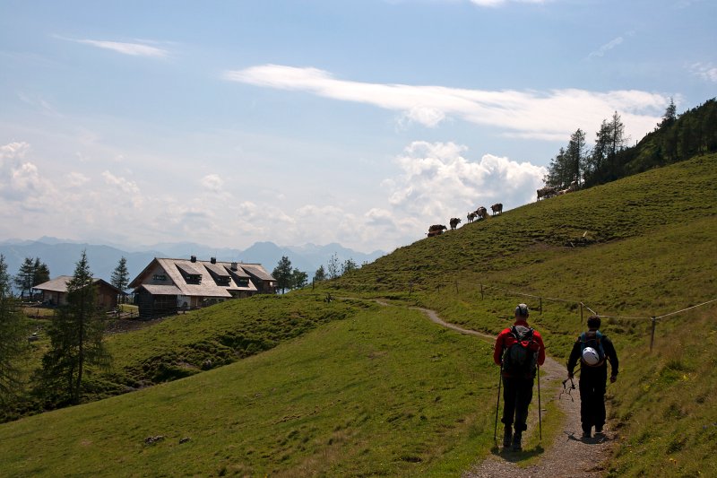 86.jpg - Szybciej, szybciej do „wodopoju”.