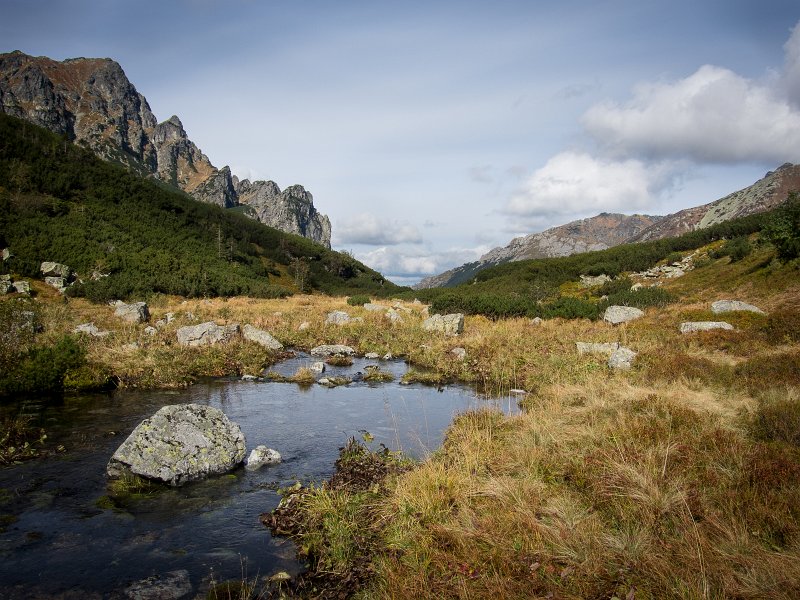 11.jpg - Odpływ ze Stawu.