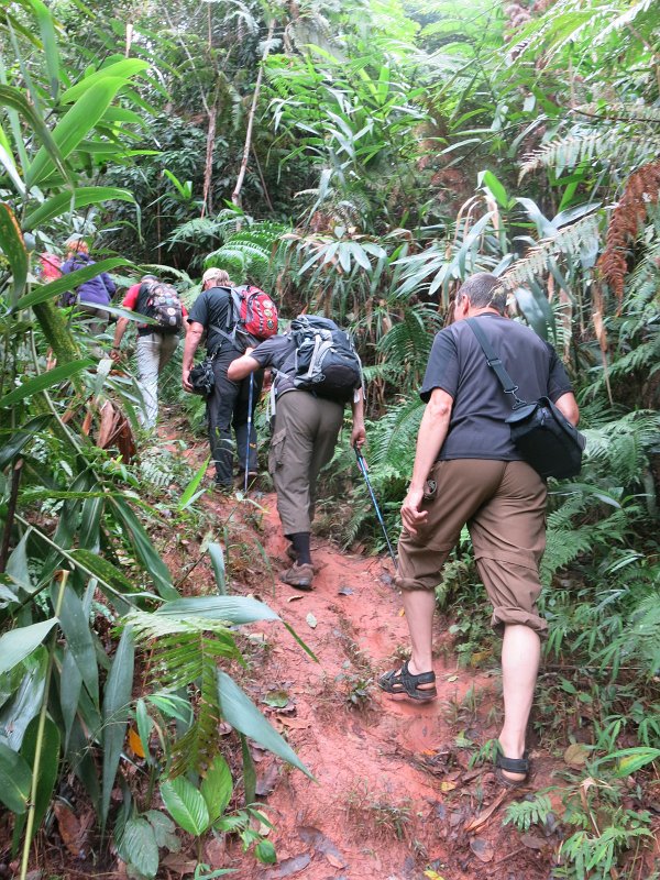 064.jpg - Wybraliśmy się na trekking przez dżunglę.