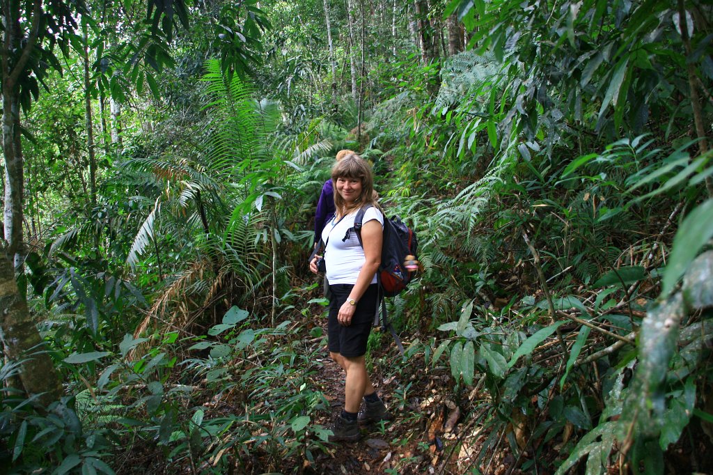 065.jpg - W dżungli było głośno od dźwięków wydawanych przez owady.