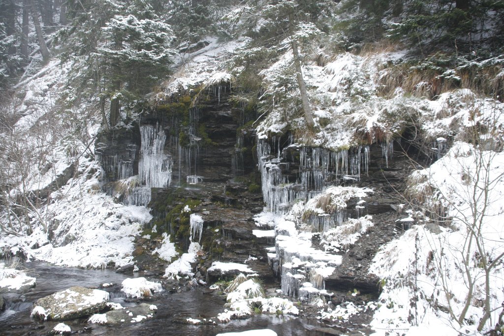 42.jpg - Koronkowa robota.