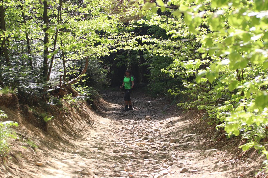 016.jpg - Zielono mi :)