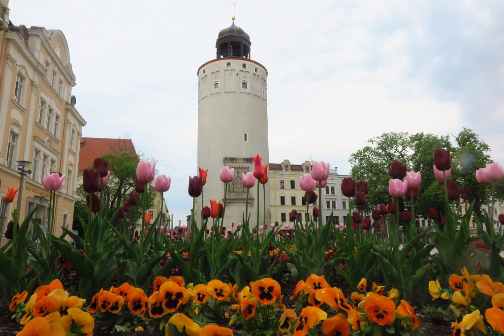 007.jpg - Dicker Turm - Gruba Wieża w Goerlitz.