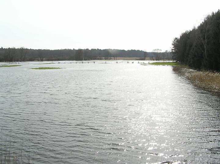 09.jpg