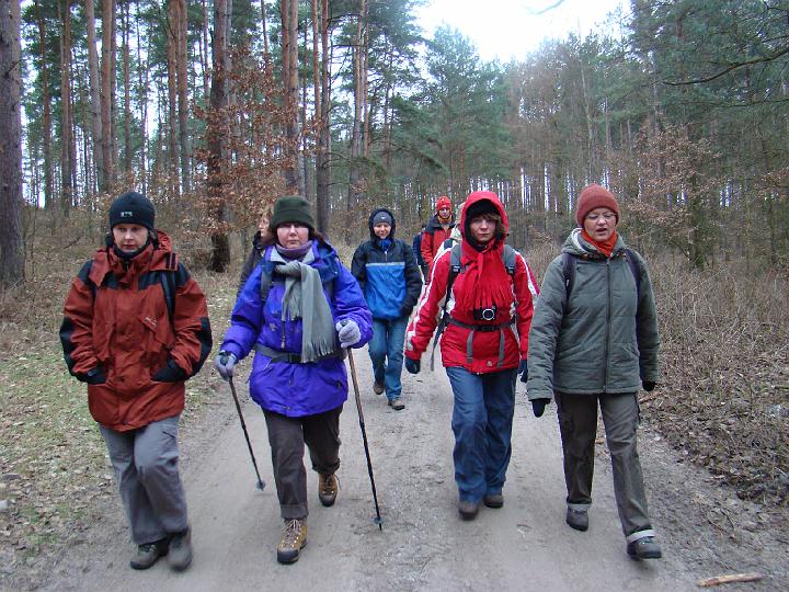 06.jpg