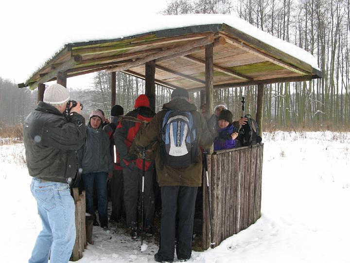 09.jpg