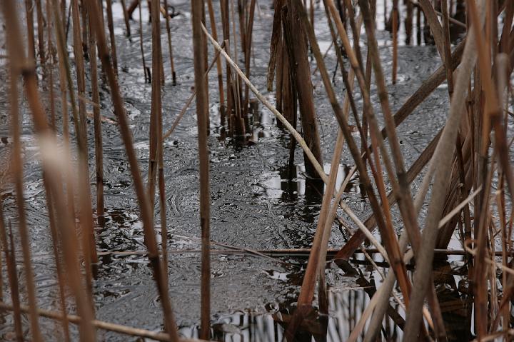 09.jpg