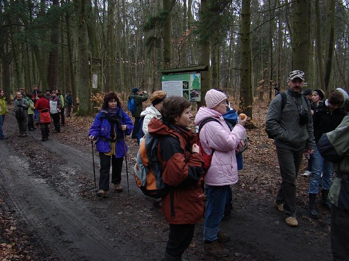 05.jpg