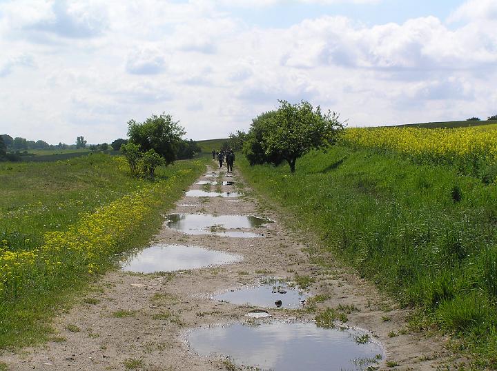 09.jpg