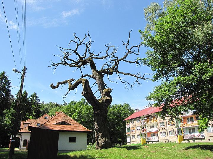 03.jpg