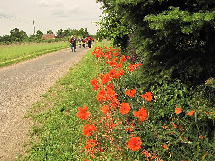 06.jpg