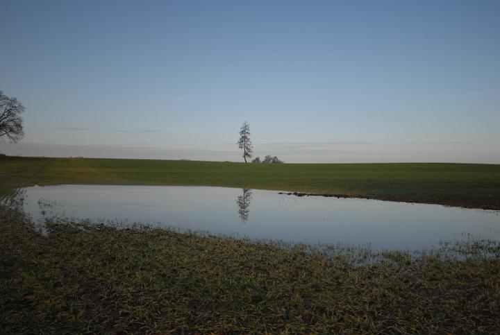 06.jpg