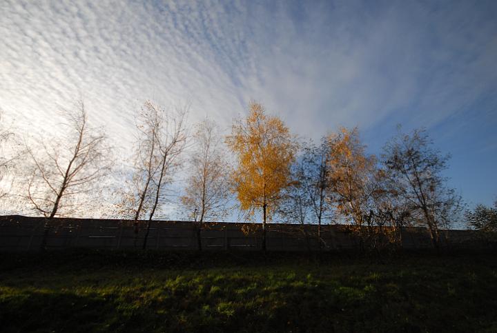 09.jpg