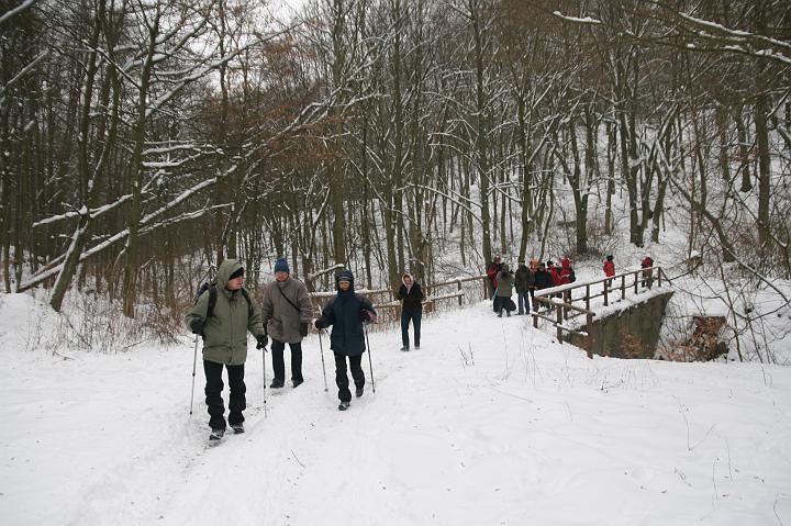 04.jpg