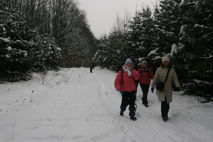 05.jpg