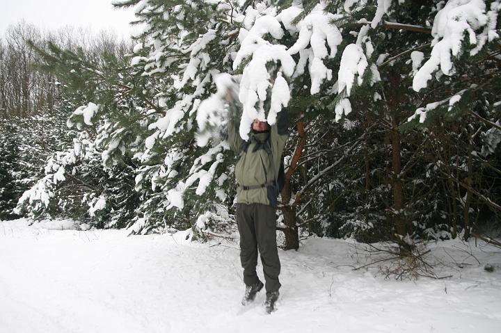 06.jpg