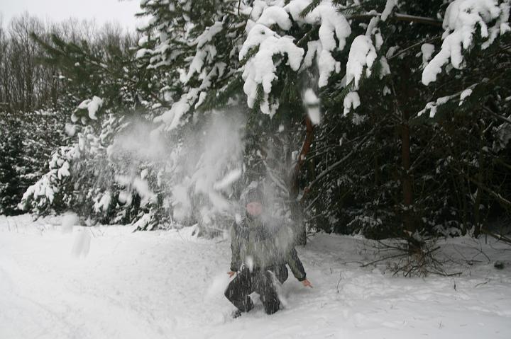 07.jpg