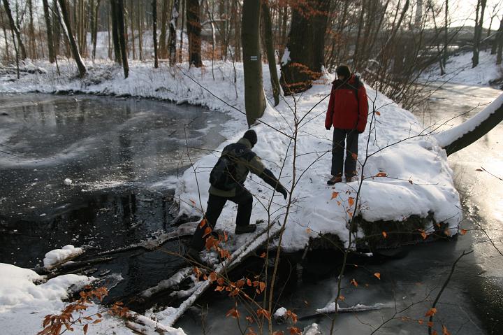 06.jpg