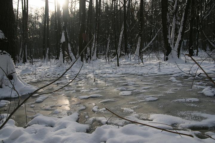 09.jpg