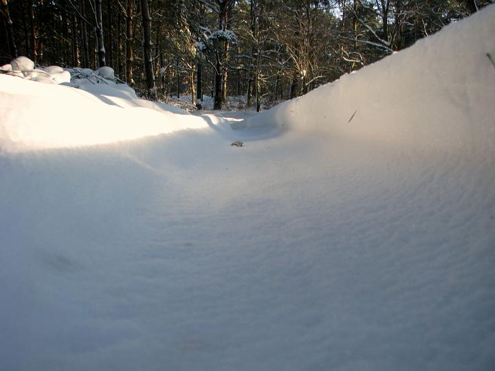 03.jpg