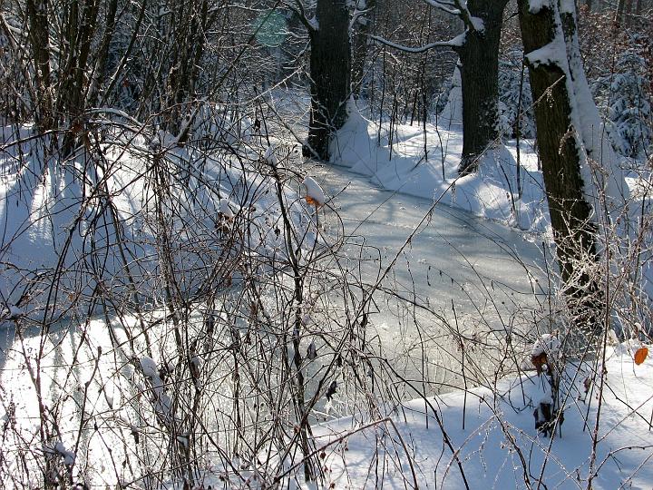 05.jpg