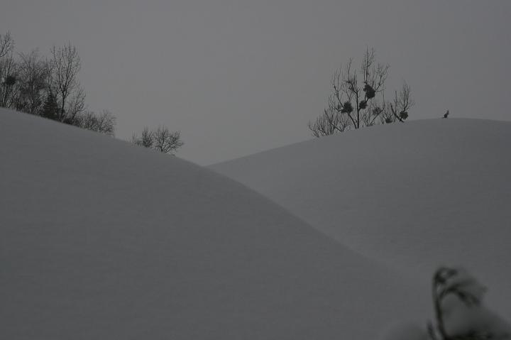 04.jpg