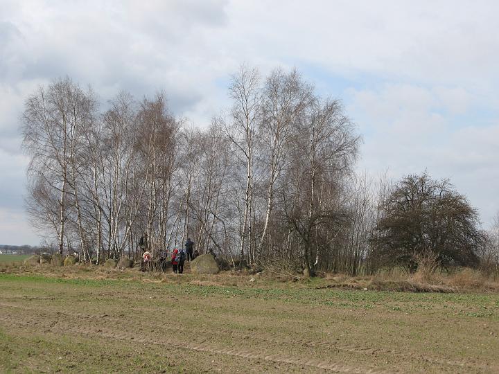 08.jpg