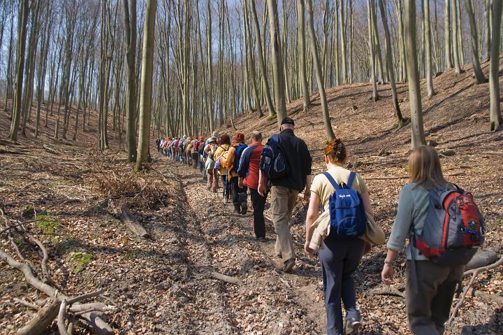 06.jpg