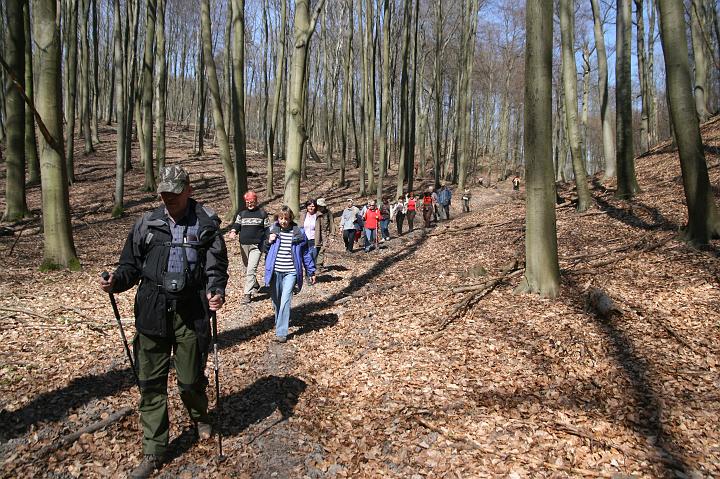 07.jpg