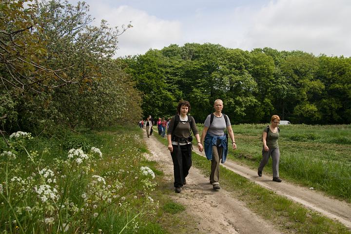 04.jpg