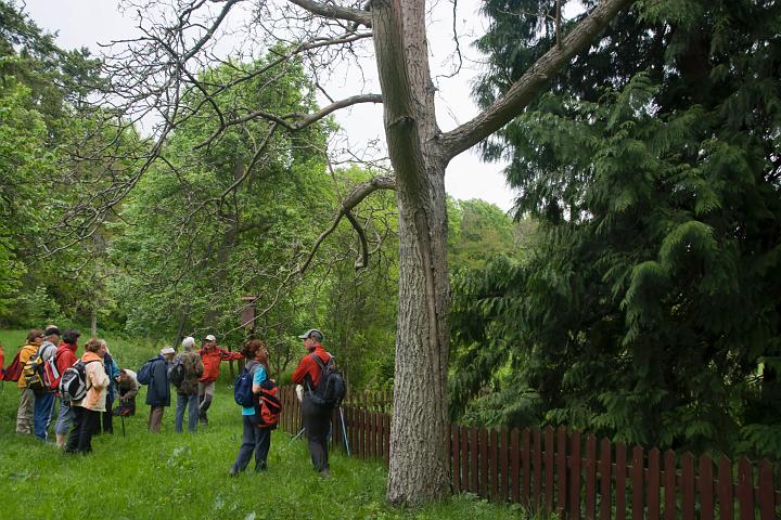 03.jpg