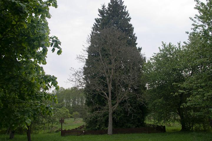 04.jpg