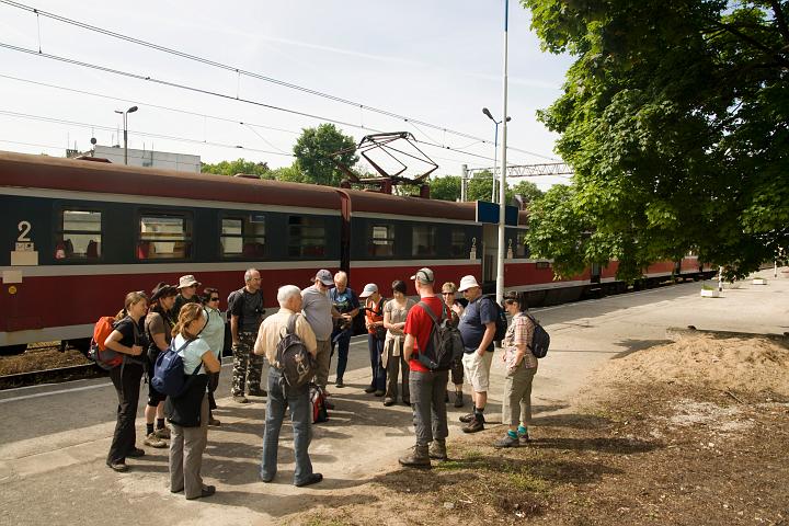 03.jpg
