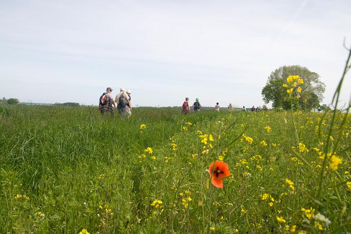 07.jpg