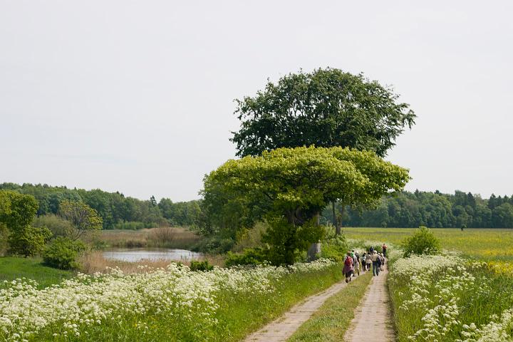08.jpg