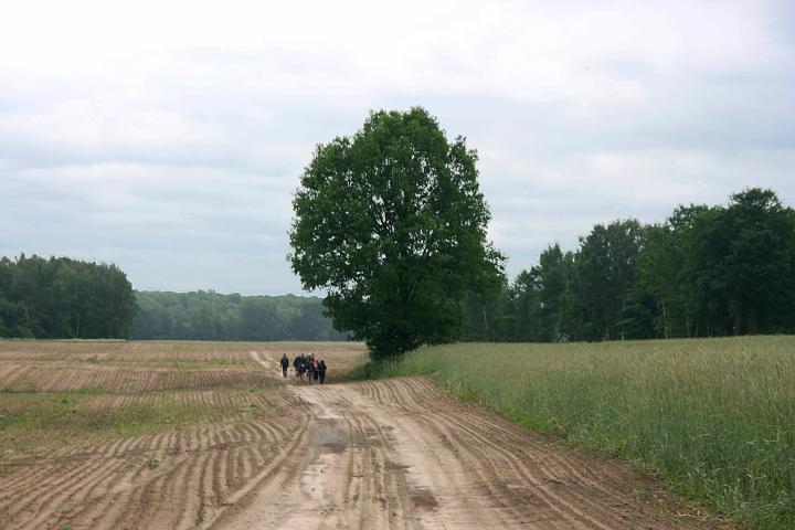 05.jpg