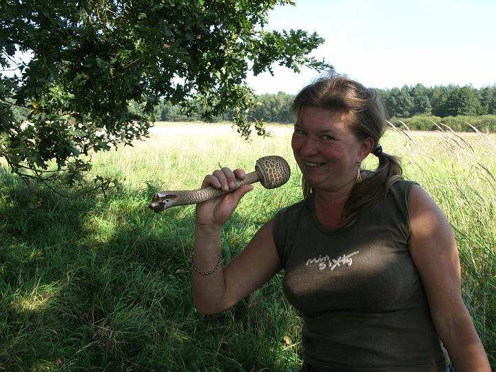 07.jpg