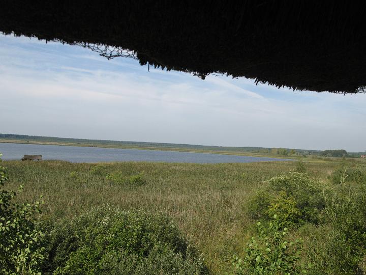 08.jpg