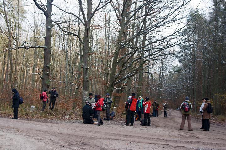 09.jpg