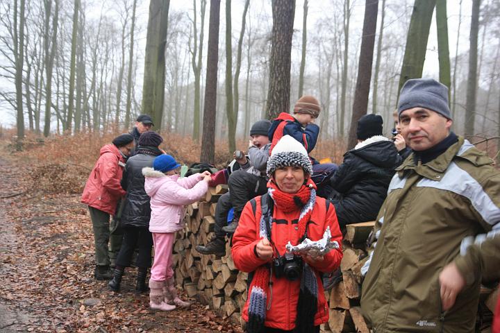 06.jpg