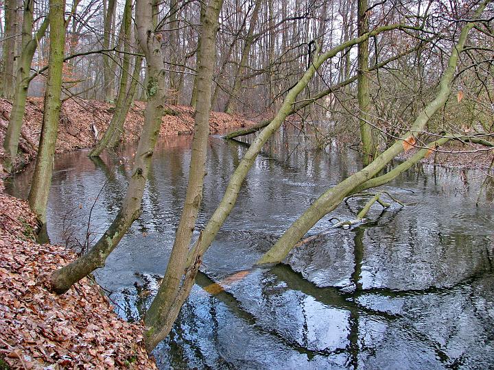 03.jpg