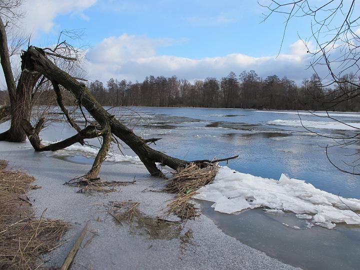 05.jpg