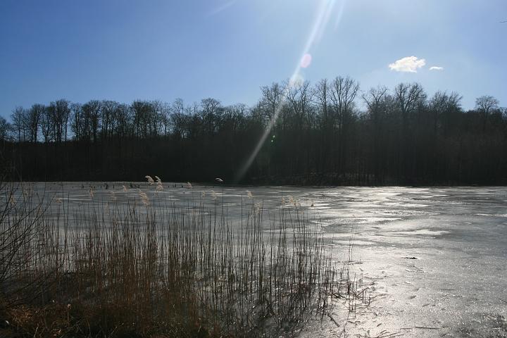 08.jpg