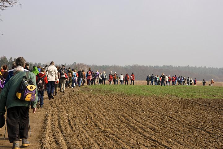 08.jpg