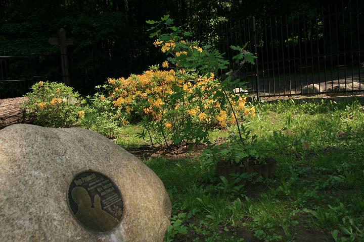 07.jpg