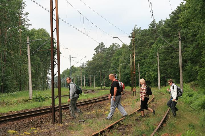 05.jpg